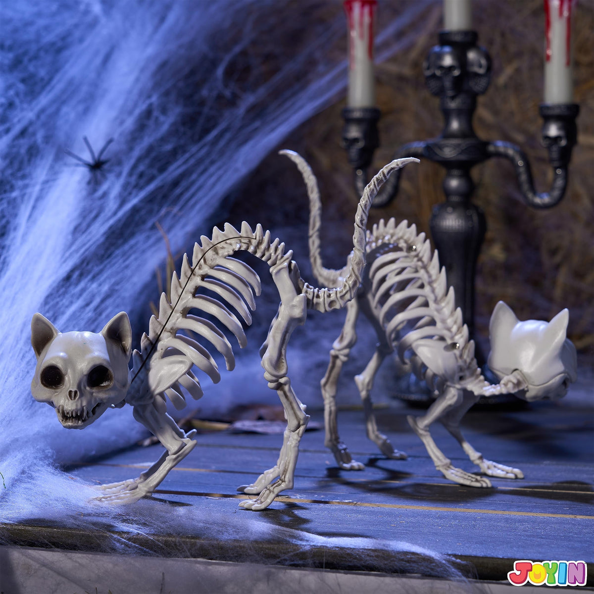 Joyfy 2 Pcs Cat Skeleton Halloween Decoration,7 Inch Posable Plastic Animals Halloween Skeleton for Indoor Outdoor Halloween Decorations,Haunted House Party Props