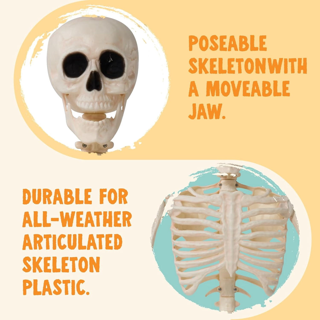 Joyfy 24 Inch Halloween Skeleton Decor with LED Light Eyes,Posable Skeleton Halloween Prop Full Body with Movable Joints for Haunted House Indoor Outdoor Decoration Spooky Decor