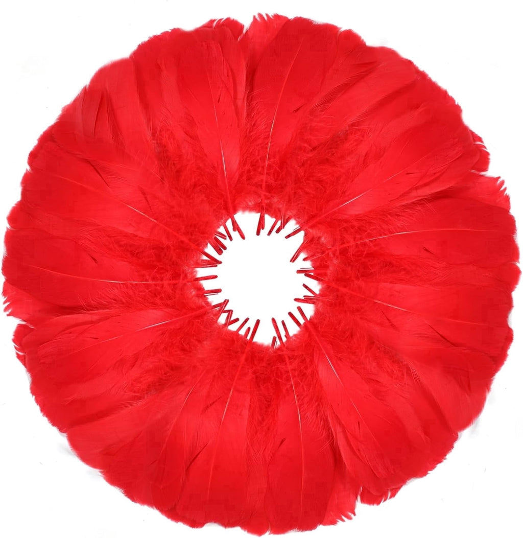 600PCS Red Feathers, 3-4.7 inch Feathers Bulk for DIY Crafts Wedding Halloween Costume Party Decorations Dream Catcher Supplies