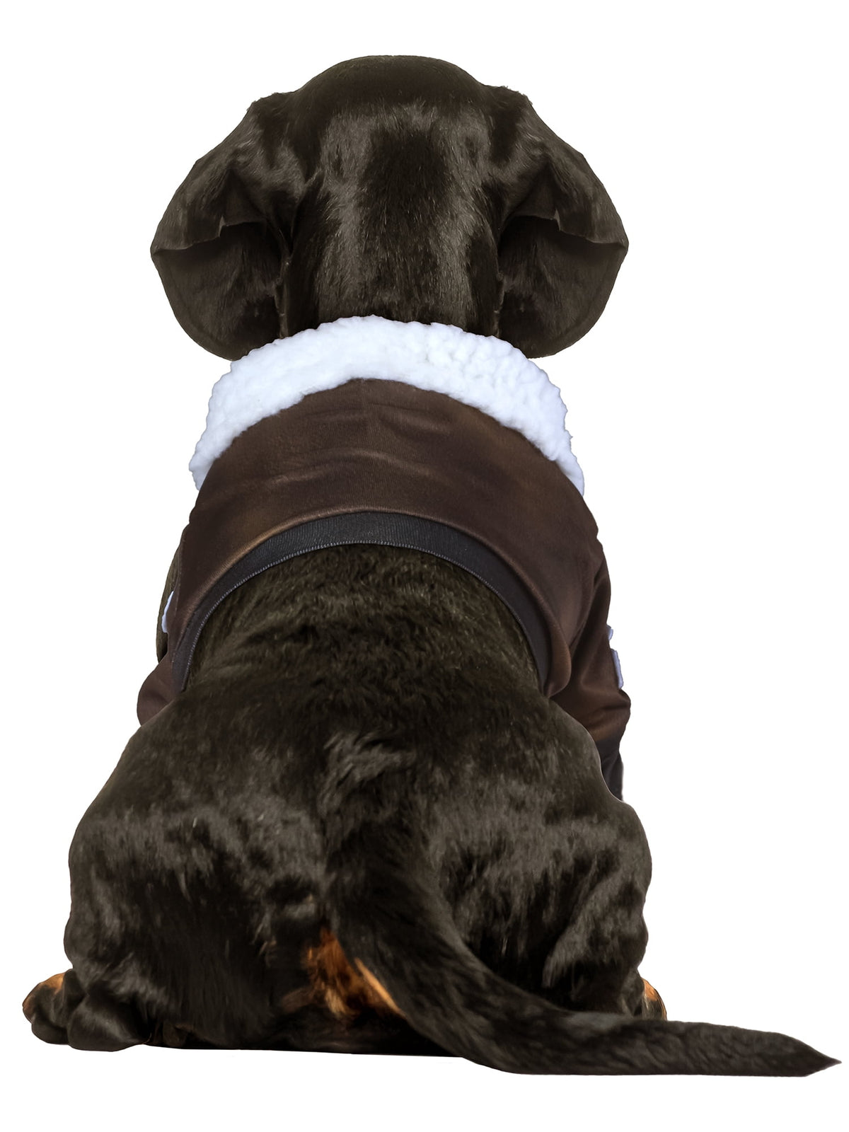Top Gun Pet Costume for Dogs or Cats by Rubies, XS