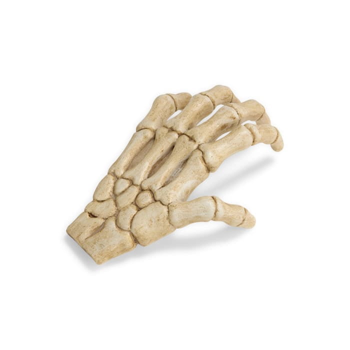 Petco Halloween Skeleton Claw Reptile Habitat Hideaway White Large
