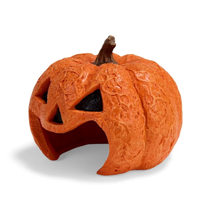 Petco Halloween Jack-o-Lantern Reptile Habitat Hideaway Orange Large