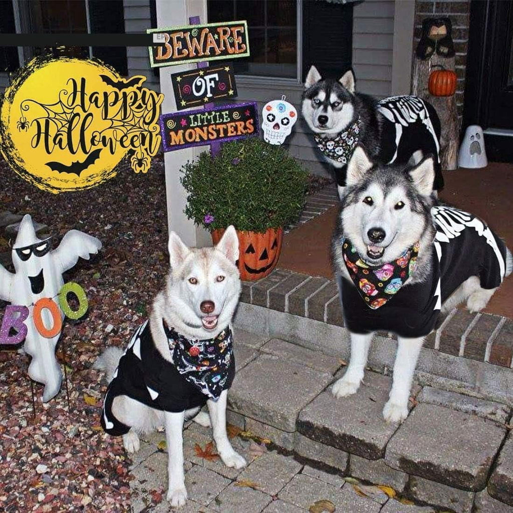 WILLED Halloween Skeleton Costume for Dogs and Cats, Pet Skeleton Jumpsuit Cosplay for Small Medium Large Dogs, Dress Up Apparel