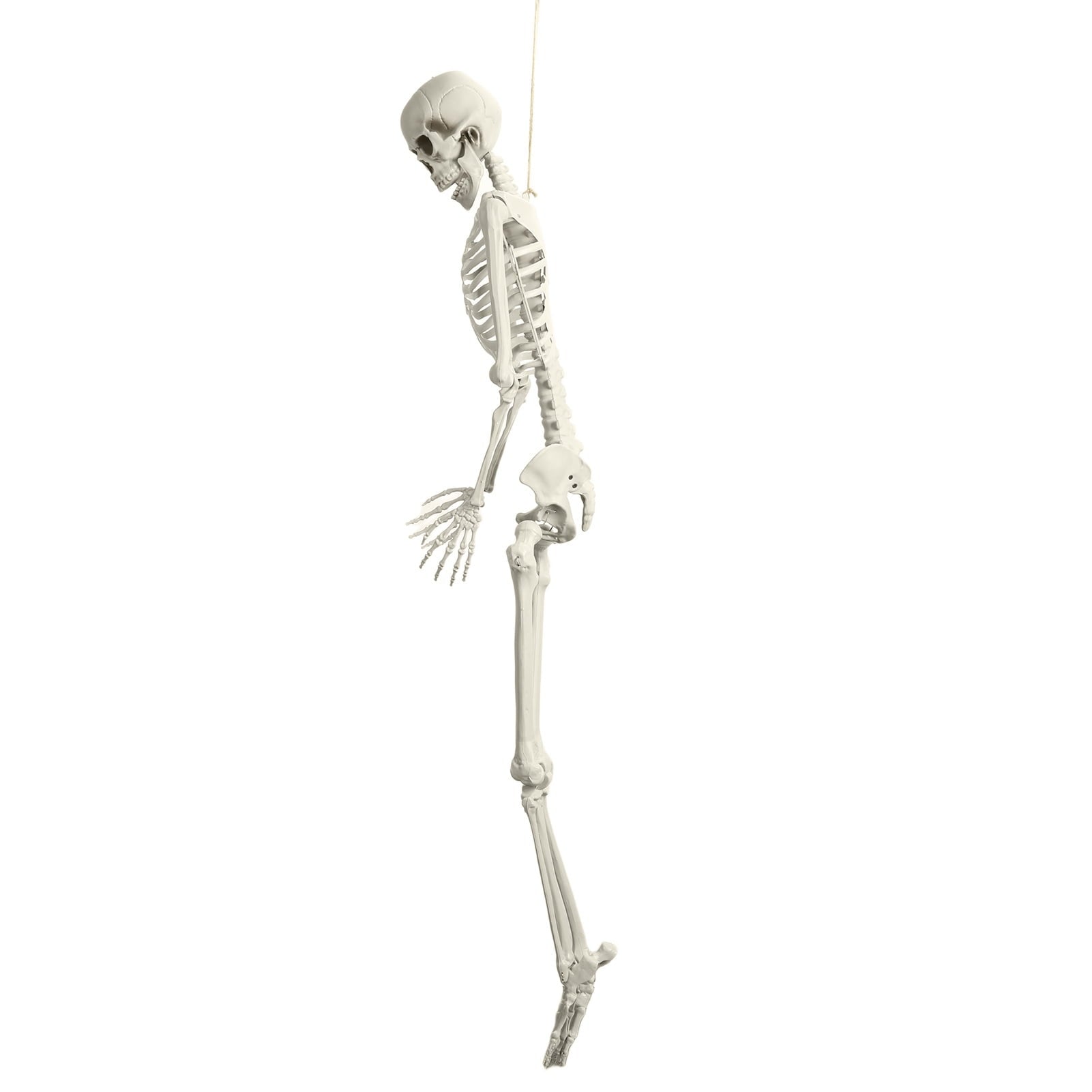 Kitem Skeleton Prop 5.4ft Poseable Life Size Halloween Decoration Plastic Full Body Human Bones Skeleton Party Supplies 1pc