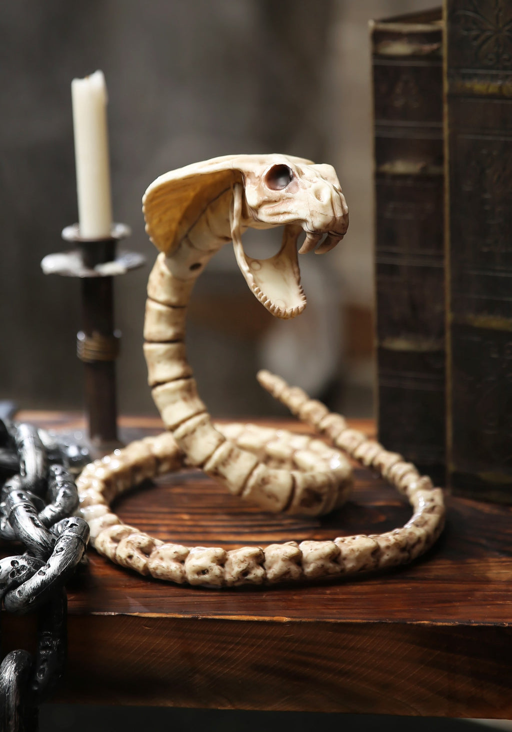 Official Crazybonez Faux Parrot Skeleton
