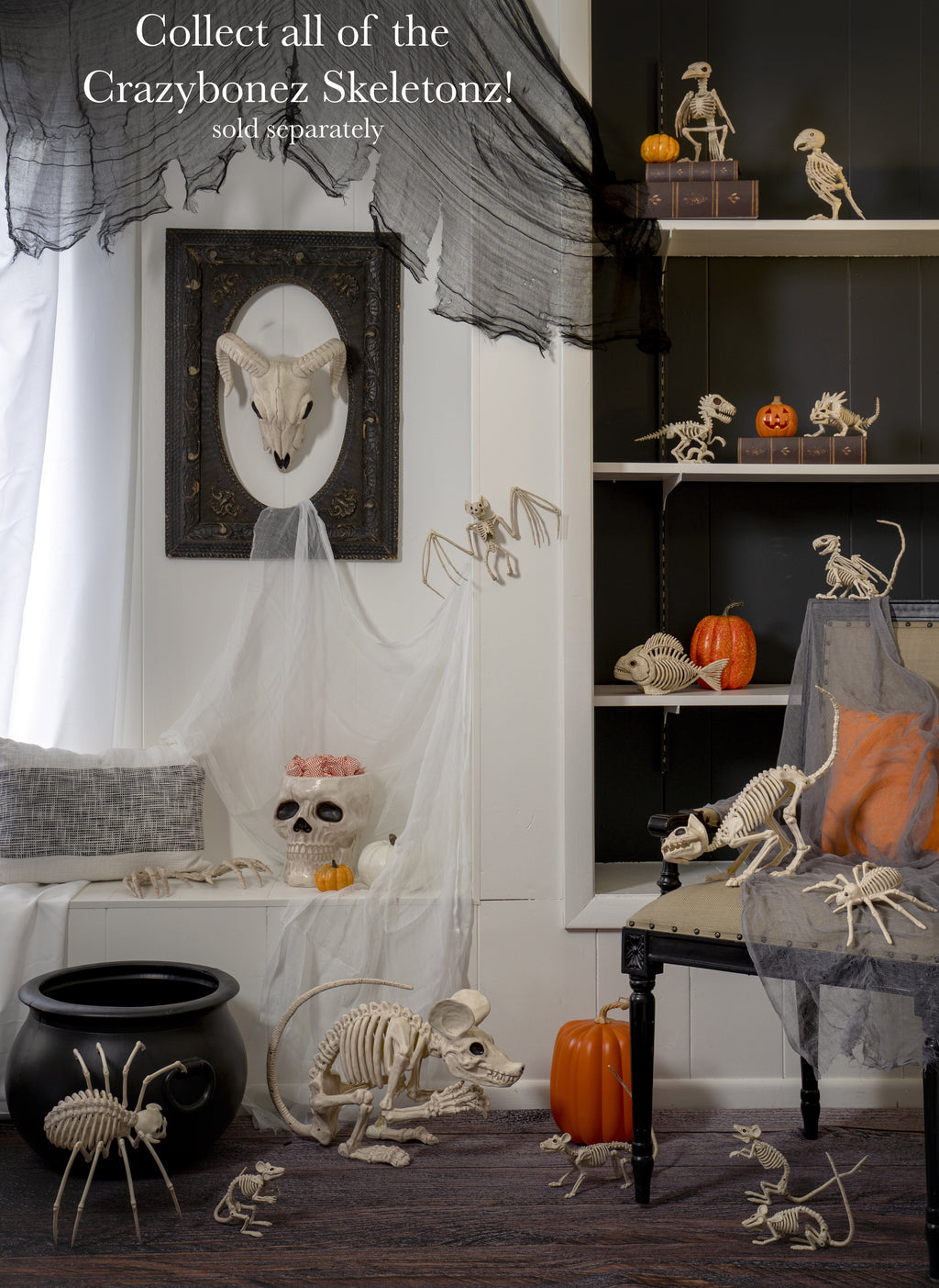 Official Crazybonez Faux Parrot Skeleton