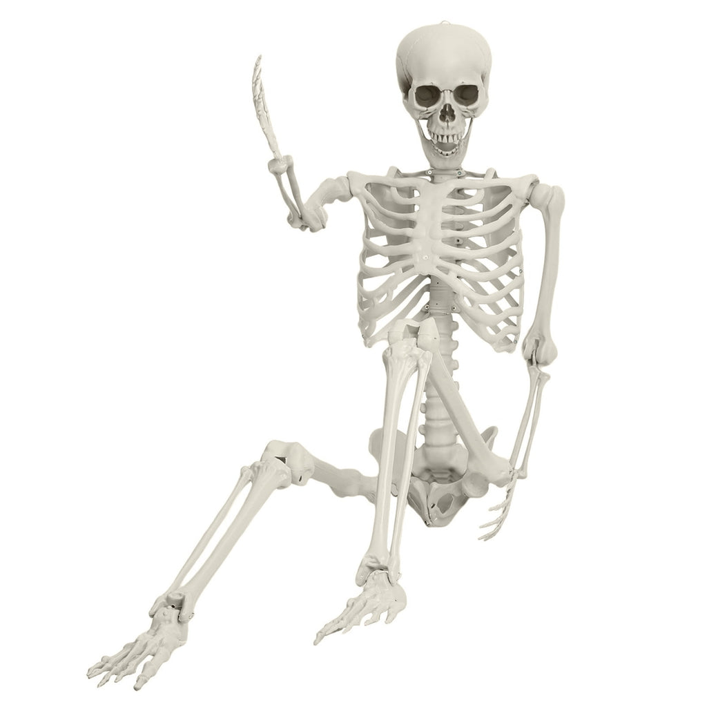 Kitem Skeleton Prop 5.4ft Poseable Life Size Halloween Decoration Plastic Full Body Human Bones Skeleton Party Supplies 1pc