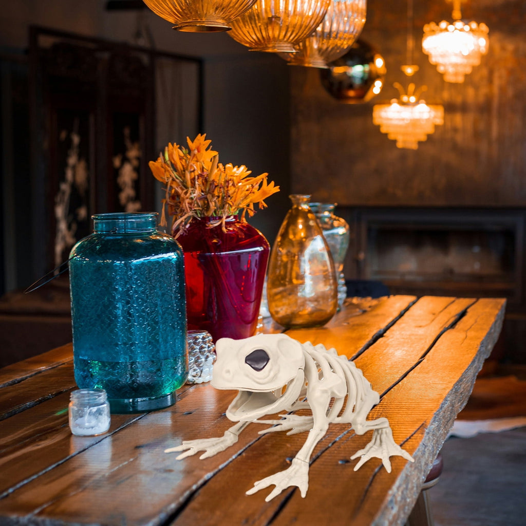 Elainilye Frog Skeleton Decoration 5.1 Inch Realistic Animal Bone Model for Halloween Home Bar Science Classroom Display Decor