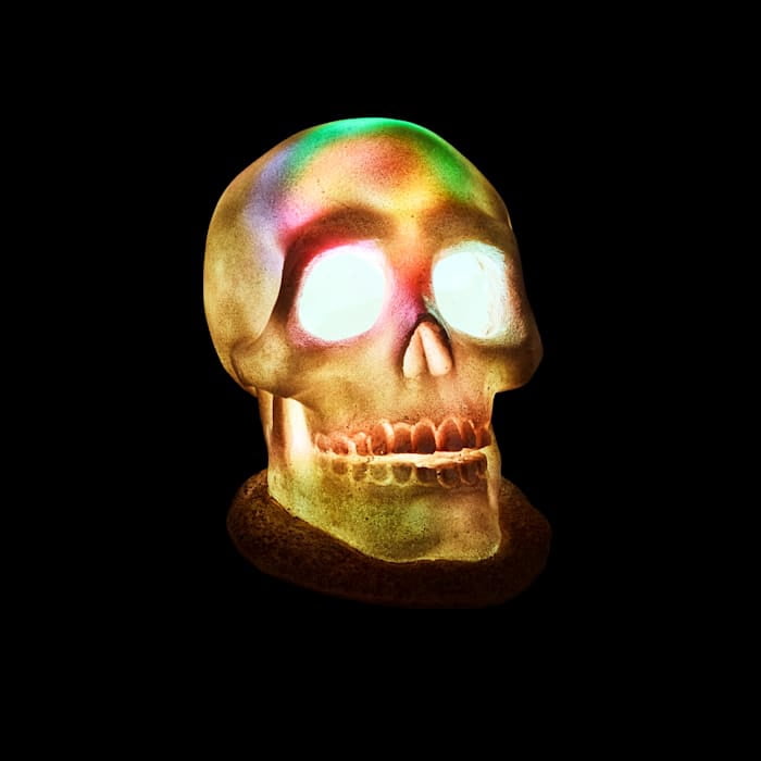 Petco Halloween LED Light-Up Skull Aquarium Decor White Large