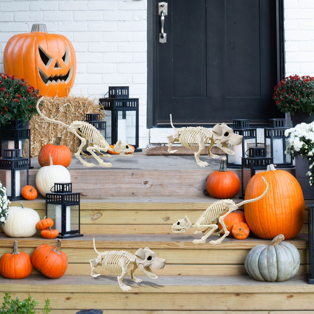 Halloween Animal Skeletons Cats Dog Skeletons Pose-N-Stay Plastic for Yard Garden Lawn Halloween Party Favors Decoration 2-Pack