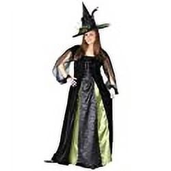 FunWorld Womens Plus Goth Maiden Witch Costume