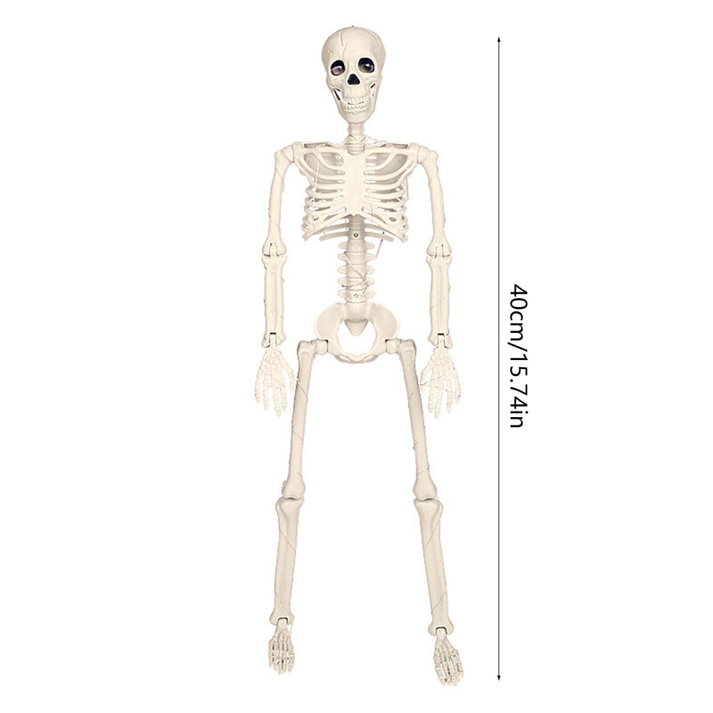 amlbb Halloween Decoration Halloween Skeleton Horror Decorations Simulation Animals Skeleton Ornaments Bar Decoration Frogs Skeleton on Clearance