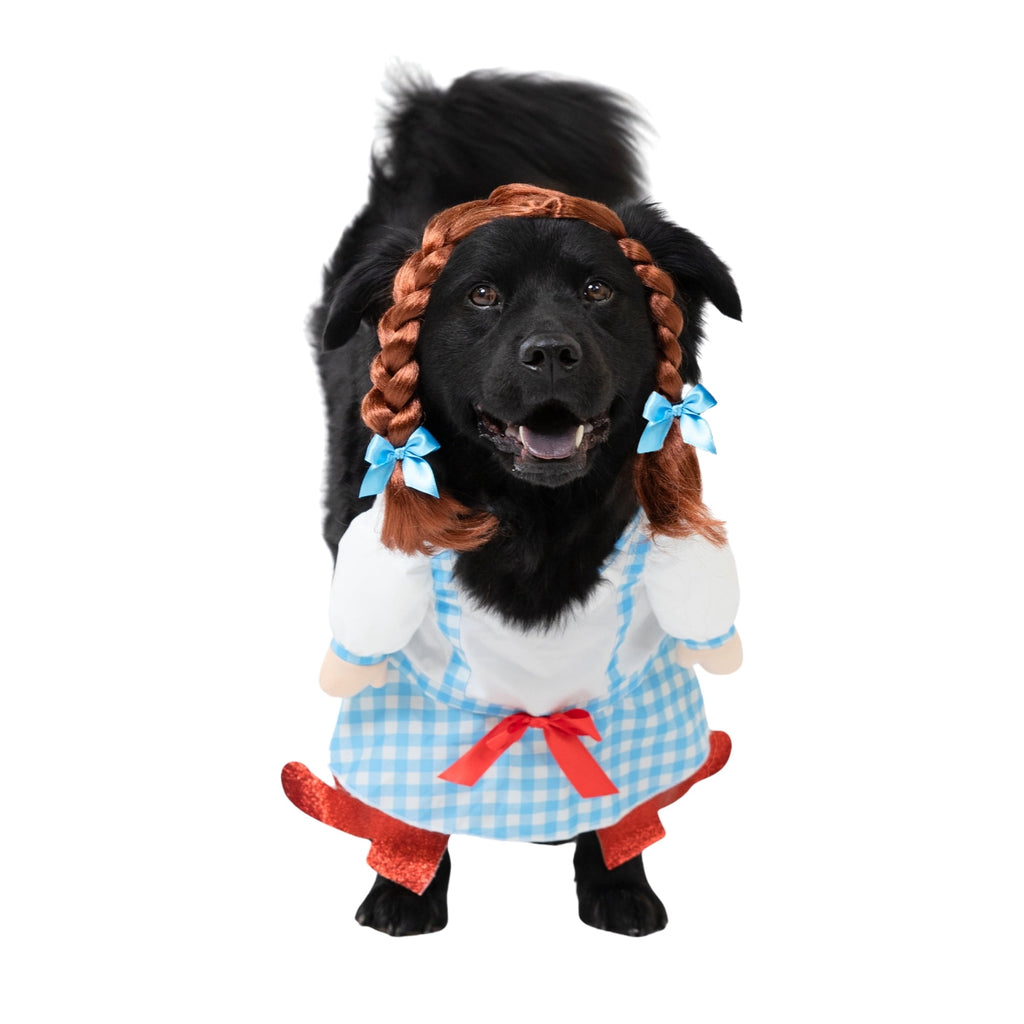 Vibrant Life Halloween Gingham Girl Costume for Dogs and Cats, Small