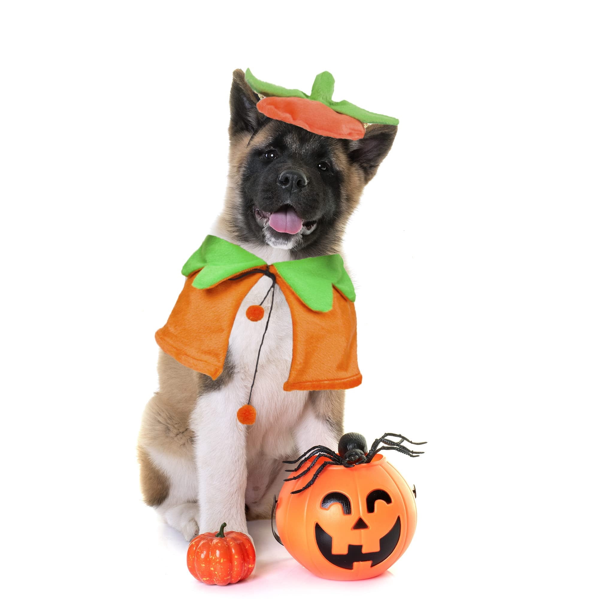 WILLED Halloween Pet Costumes, Cat Wizard Costume, Dog Witch Cloak & Hat, Purple Witch Cloak for Cats, Dogs, Kittens, Puppies, Rabbits, Perfect for Halloween, Parties, Cosplay, and Daily Wear