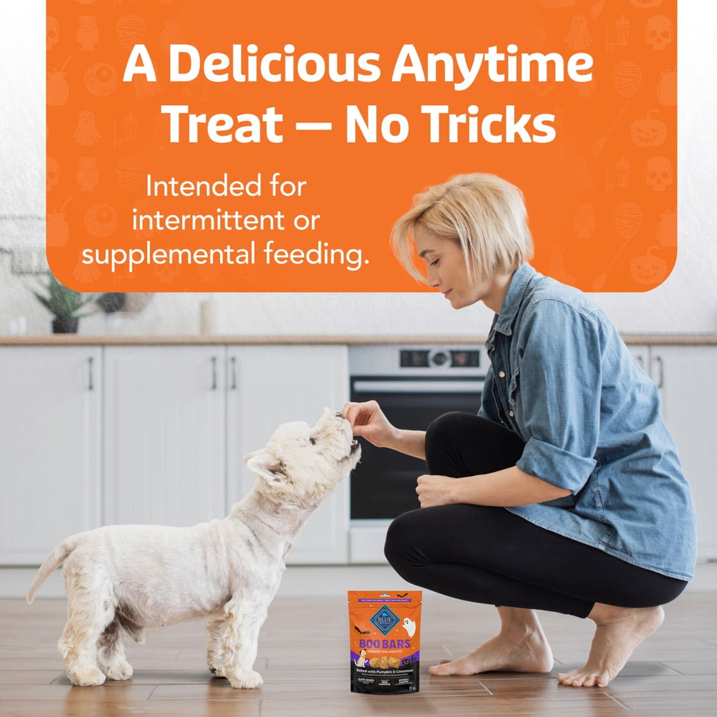 Blue Buffalo Boo Bars Crunchy Halloween Dog Biscuits Pumpkin & Cinnamon Recipe 11-oz Bag