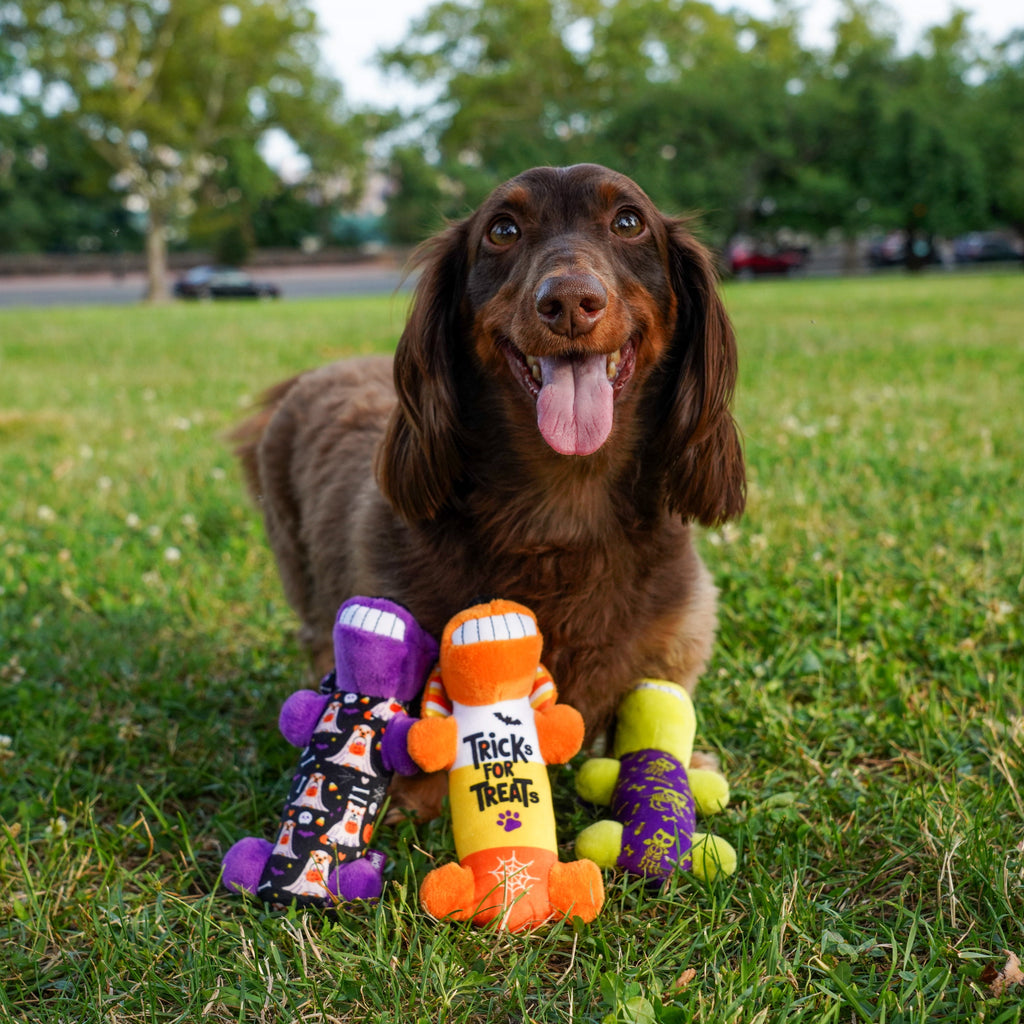 Multipet Halloween 6” Smiling Dog 3pc Dog Toy Value Pack