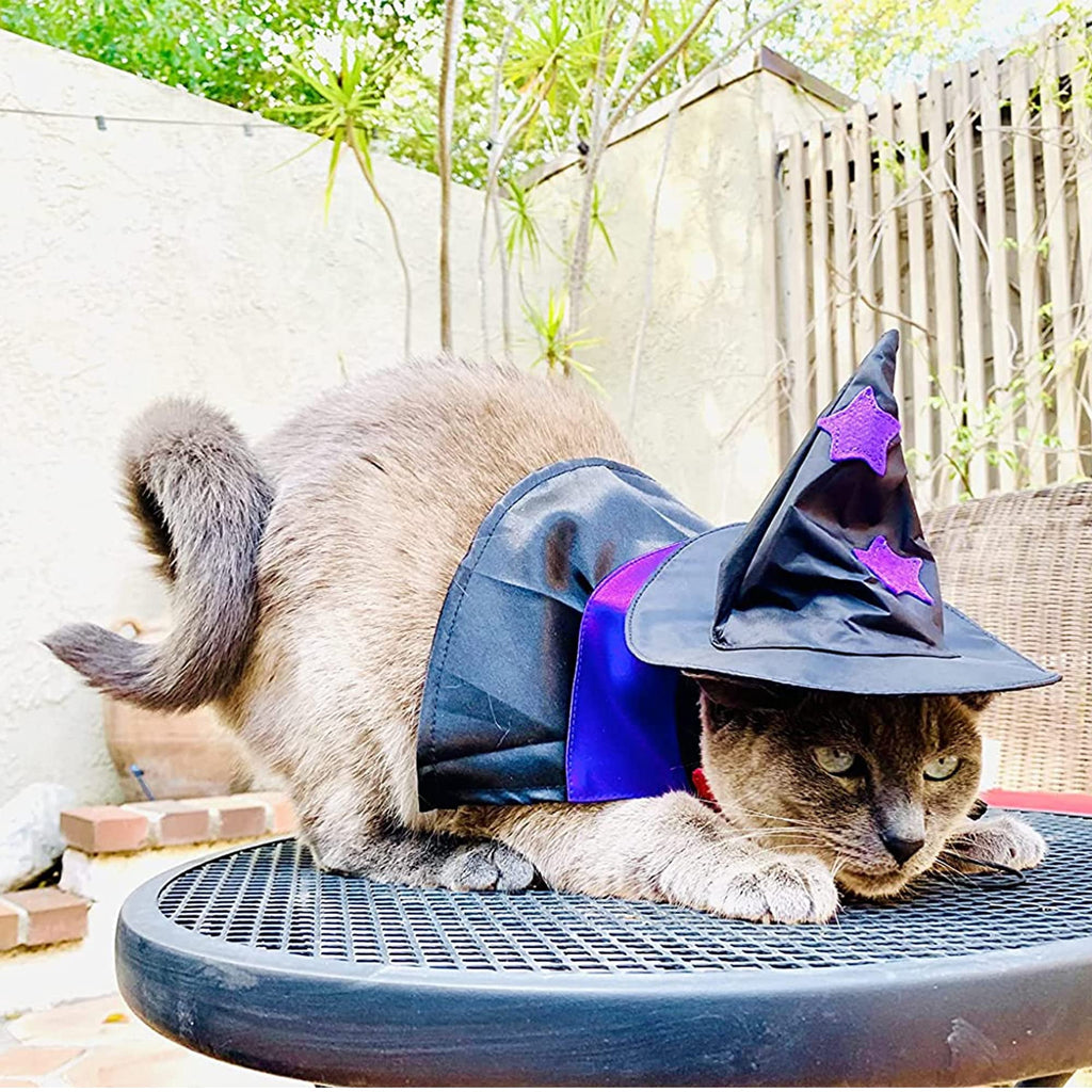 WILLED Halloween Pet Costumes, Cat Wizard Costume, Dog Witch Cloak & Hat, Purple Witch Cloak for Cats, Dogs, Kittens, Puppies, Rabbits, Perfect for Halloween, Parties, Cosplay, and Daily Wear