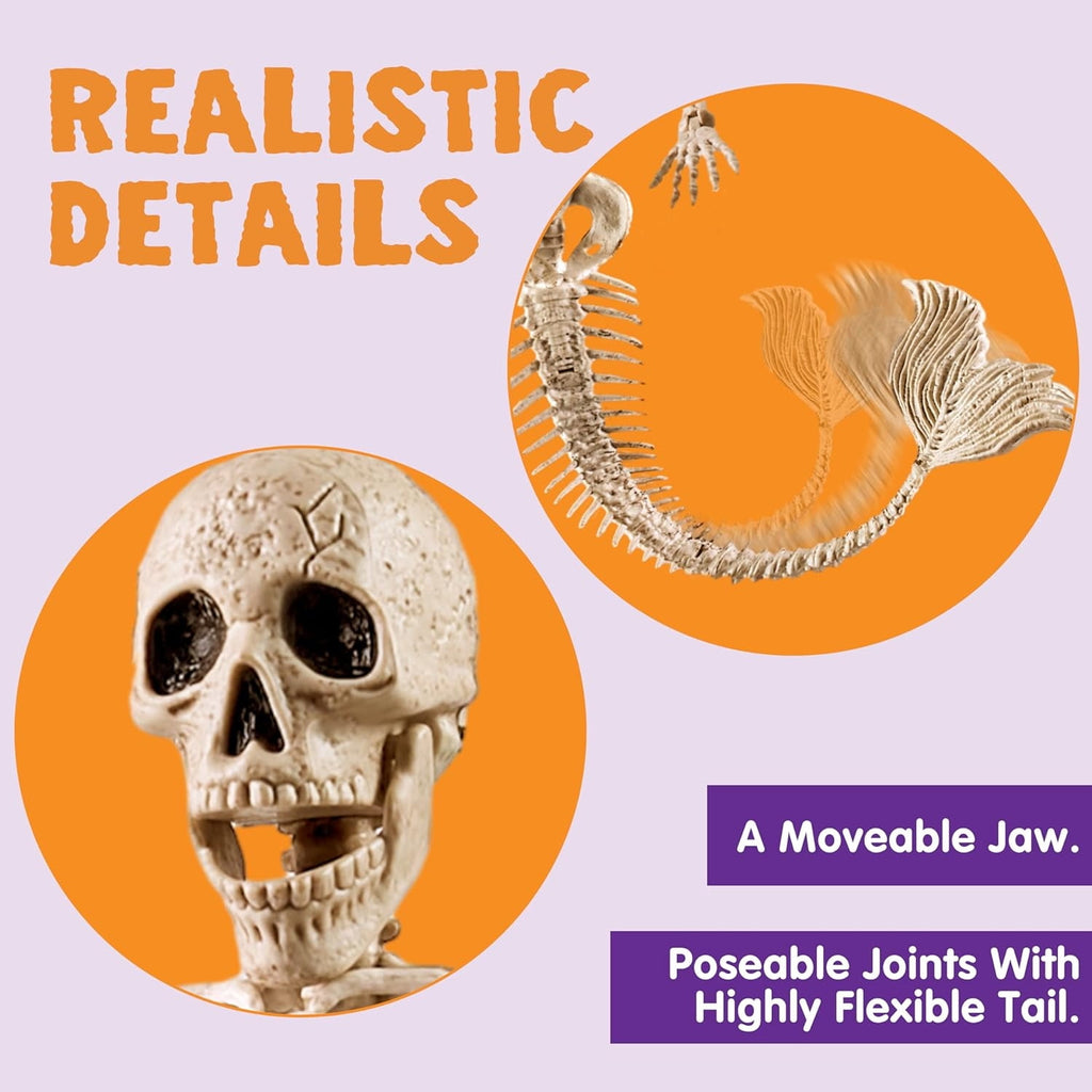 Joyfy 24 Inch Halloween Skeleton Decor with LED Light Eyes,Posable Skeleton Halloween Prop Full Body with Movable Joints for Haunted House Indoor Outdoor Decoration Spooky Decor