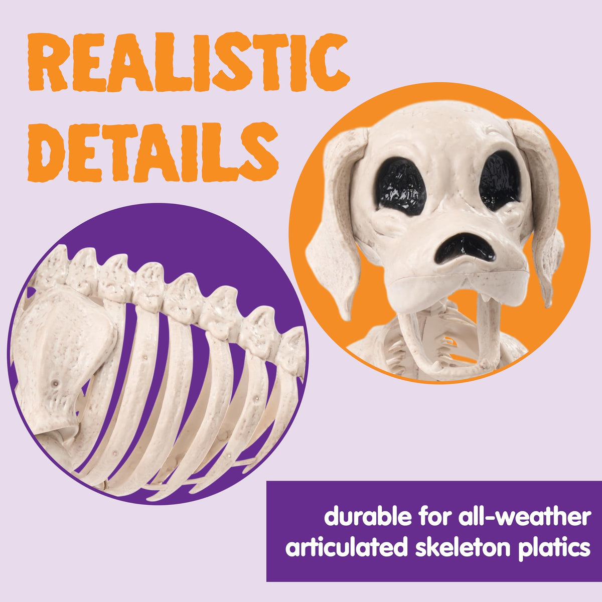 Joyfy 9.8 Inch Halloween Skeleton Dog Skeleton Halloween Decor,Pose-N-Stay Plastic Skeleton Bones with Posable Joints for Hallowmas Decoration Outdoor Haunted House Party