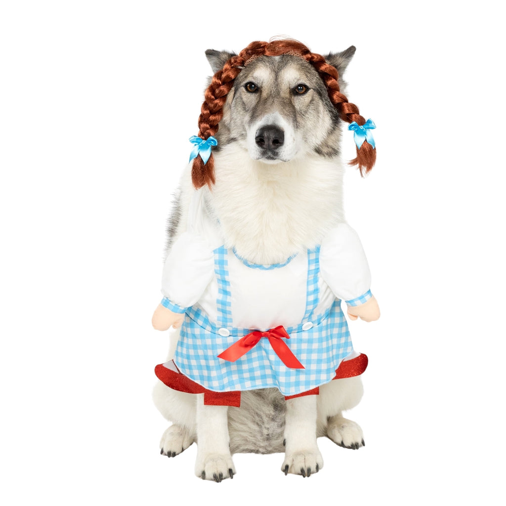 Vibrant Life Halloween Gingham Girl Costume for Dogs and Cats, Small