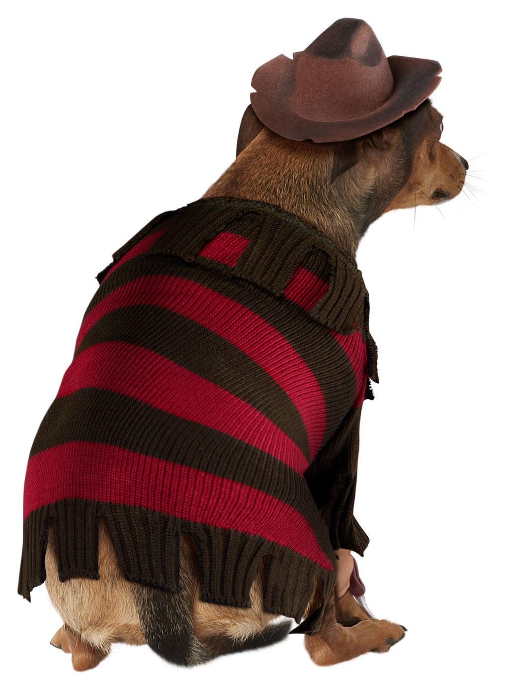 A Nightmare on Elm Street Freddy Krueger Pet Costume for Dogs or Cats by Rubies, Large