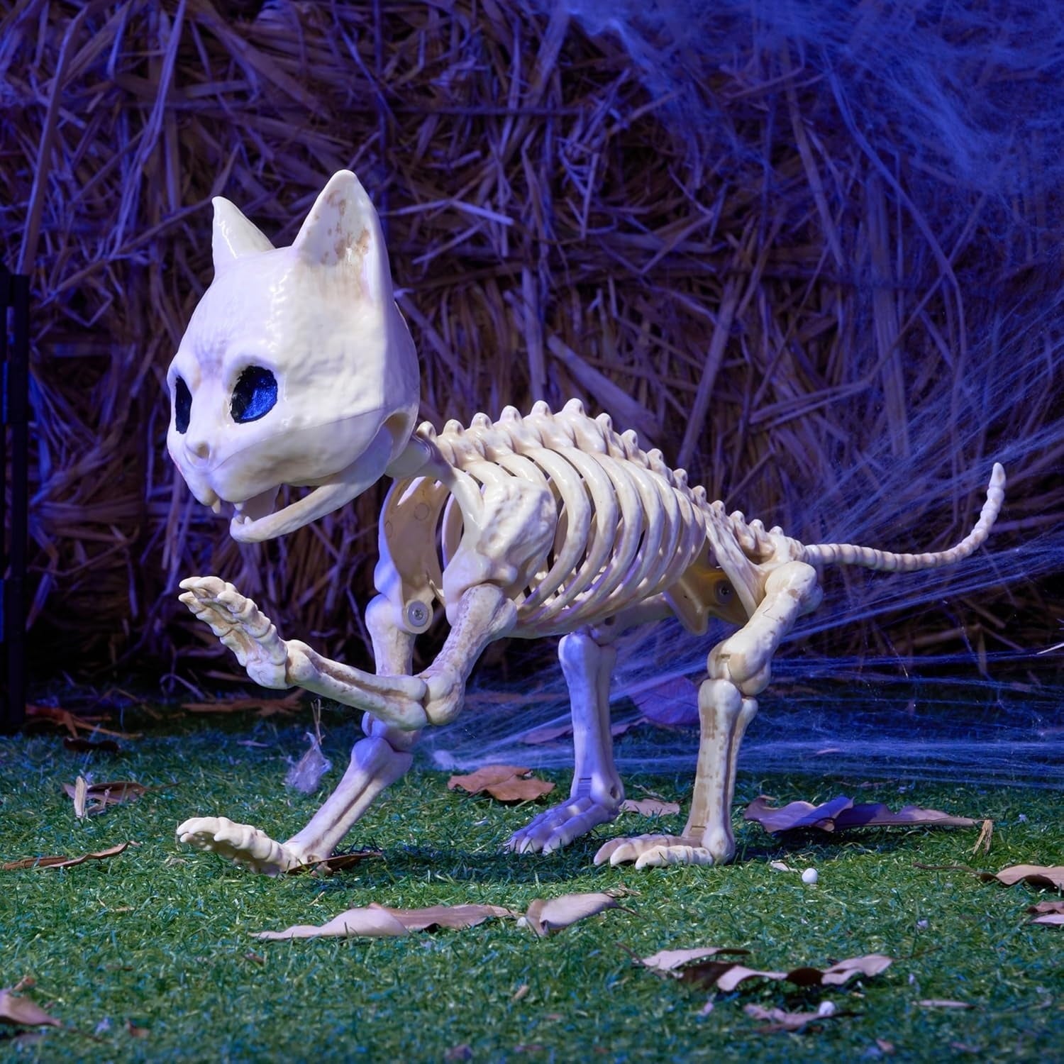 Joyfy 2 Pcs Cat Skeleton Halloween Decoration,7 Inch Posable Plastic Animals Halloween Skeleton for Indoor Outdoor Halloween Decorations,Haunted House Party Props