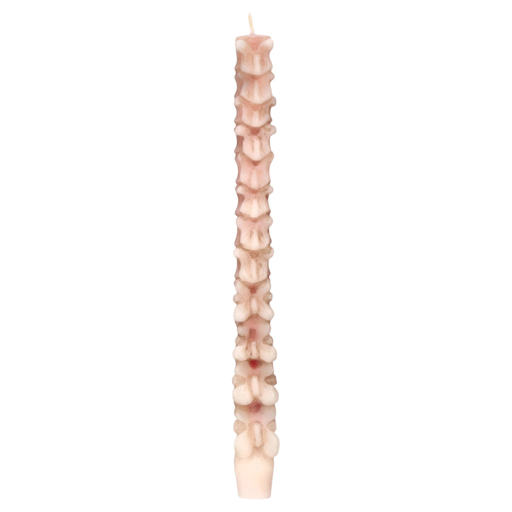 Bleeding Spine Taper Candles, 10", 2 Pieces, Halloween by Way To Celebrate