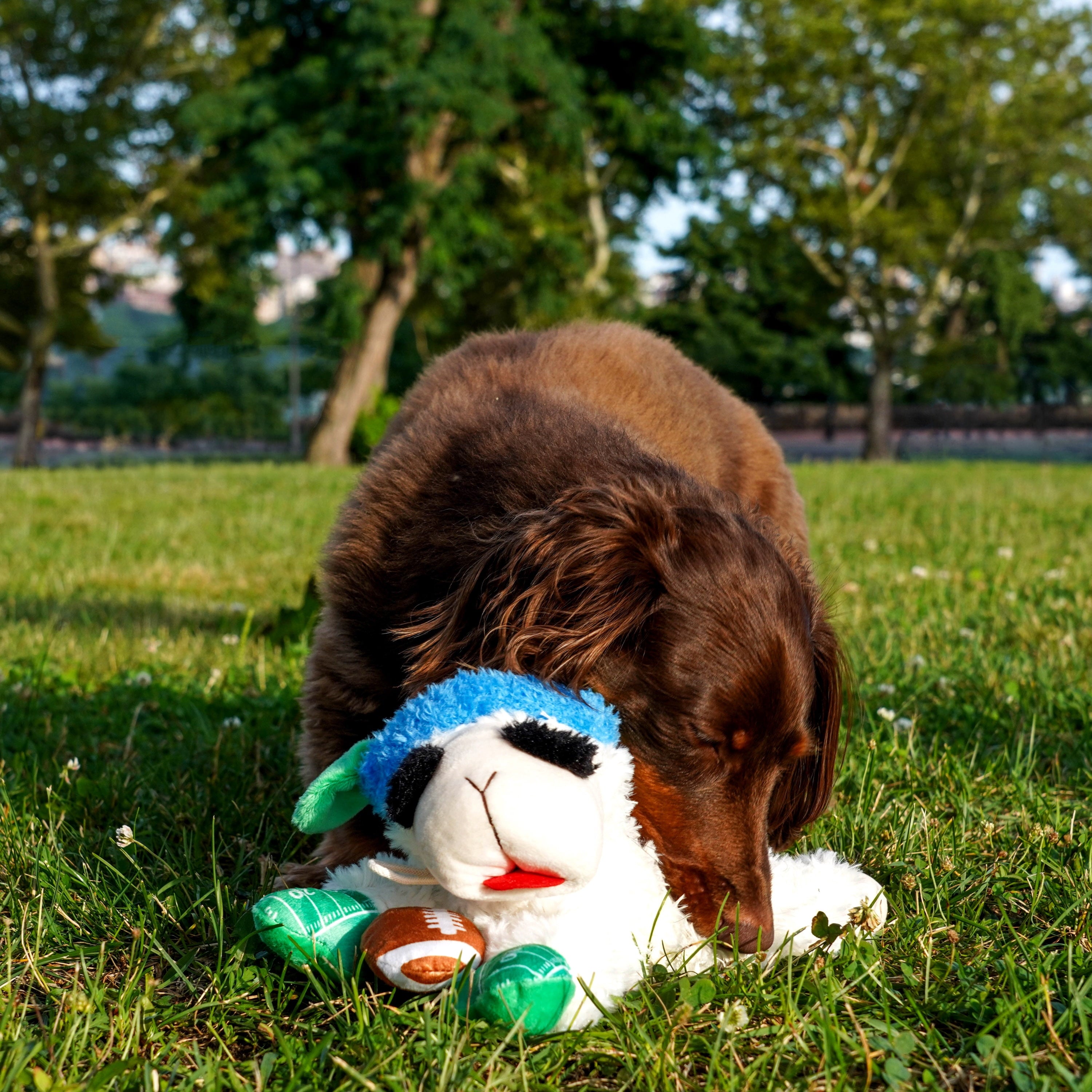 Multipet Lamb Chop Pupkin Spice Latte Dog Toy