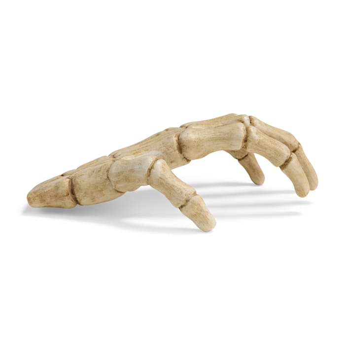 Petco Halloween Skeleton Claw Reptile Habitat Hideaway White Large