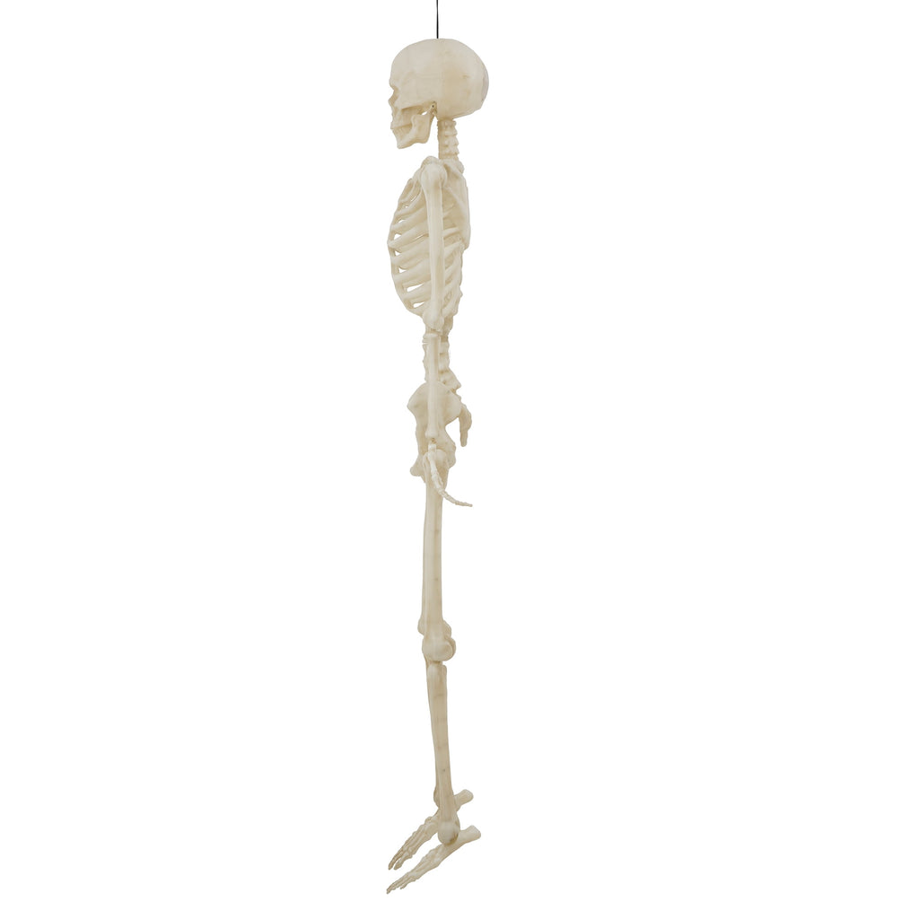 Way To Celebrate 5 ft Poseable LED Illuminated Skeleton Halloween Decoration
