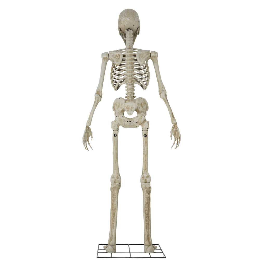 Way To Celebrate 8-Foot Animated Skeleton Plastic Outdoor Halloween Decor