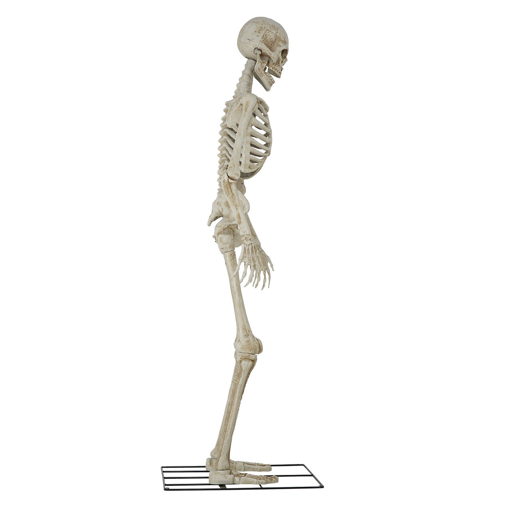 Way To Celebrate 8-Foot Animated Skeleton Plastic Outdoor Halloween Decor