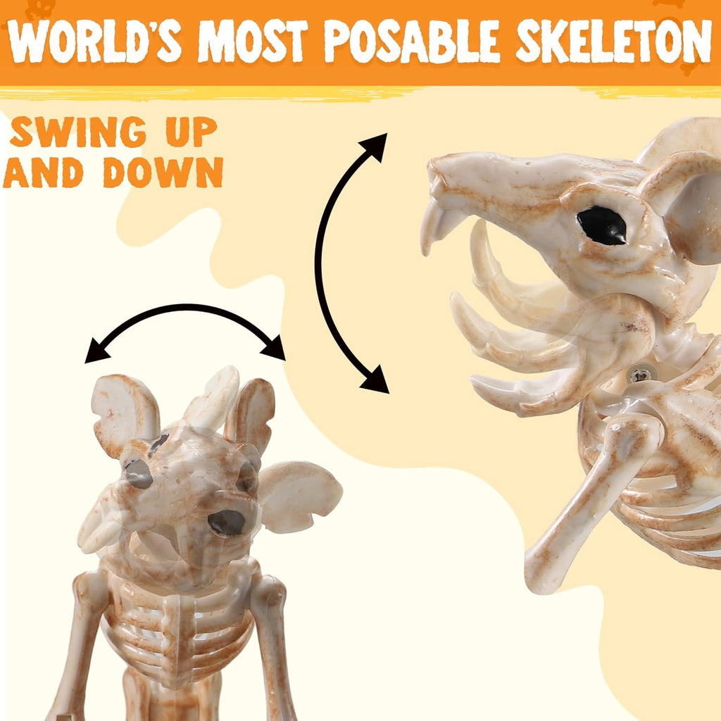 Joyfy 2 Pcs Duck Skeleton Halloween Decoration,4.5 Inch Posable Plastic Animals Halloween Skeleton for Indoor Outdoor Halloween Decorations,Haunted House Party Props