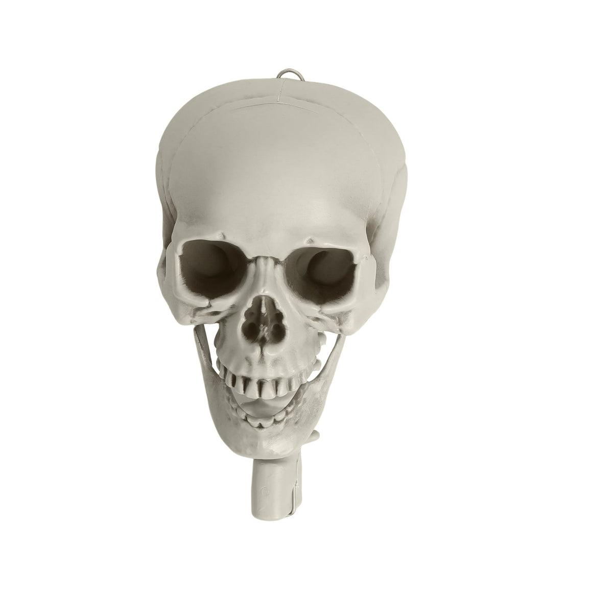 Kitem Skeleton Prop 5.4ft Poseable Life Size Halloween Decoration Plastic Full Body Human Bones Skeleton Party Supplies 1pc