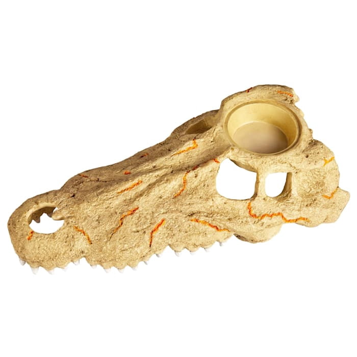 Zilla Rapid Sense Decor Crocodile Skull