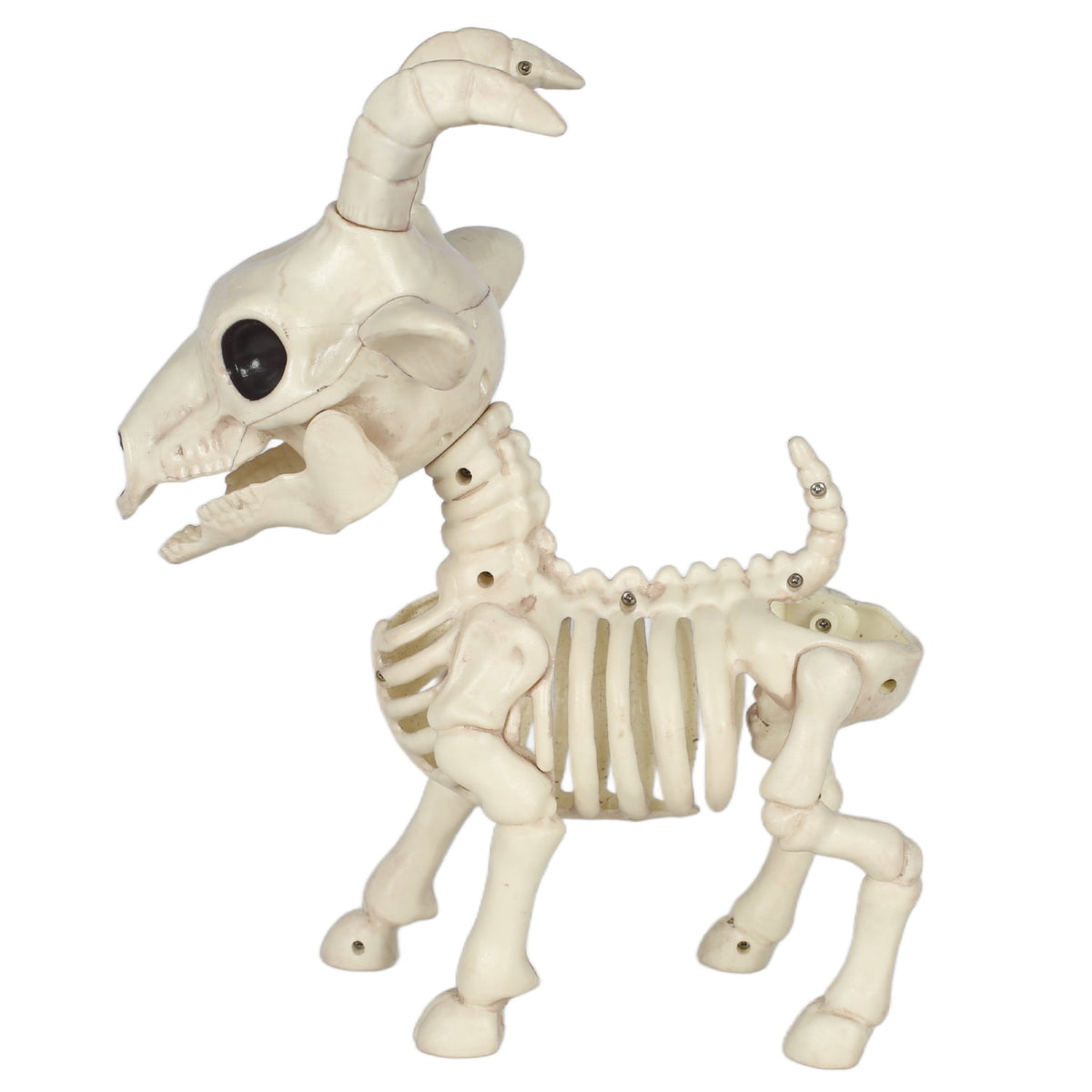Seasons Skeleton Pygmy Goat Halloween Decoration for Crazy Bonez Skeleton Line