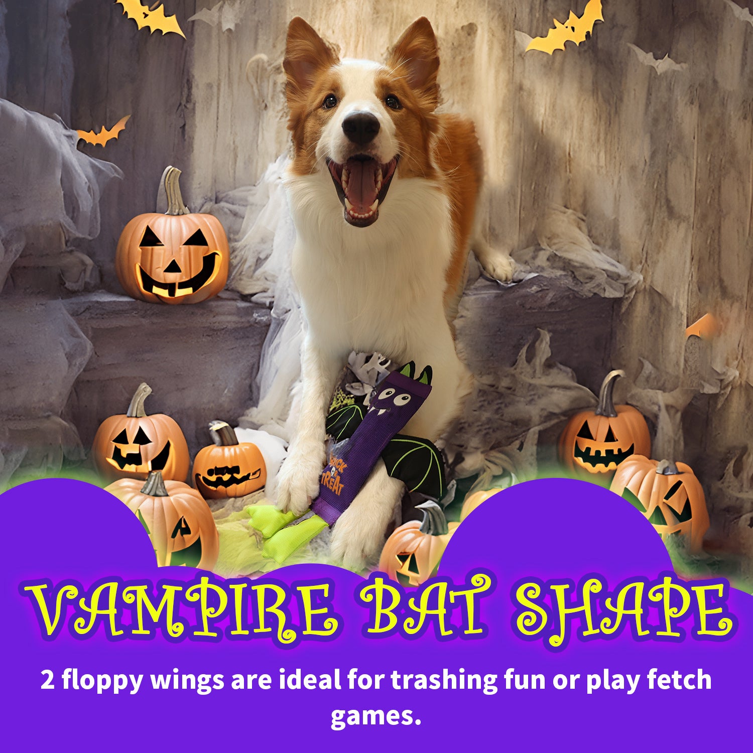 All For Paws Halloween 4-Pack Dog Toy Set - Gift Box Includes Dog Lick Mat, Puppy Squeaky Firehose Toy, Latex Dog Chew Toy & Dog Treat Dispenser
