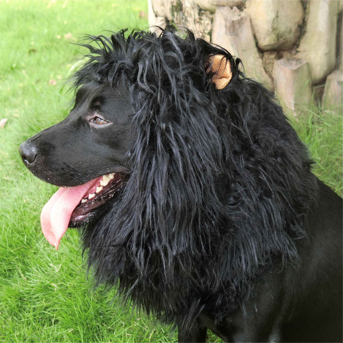 Lion Mane Wig for Dogs, Funny Pet Cat Costumes, Furry Dog Clothing Accessories (Size M,Grey)