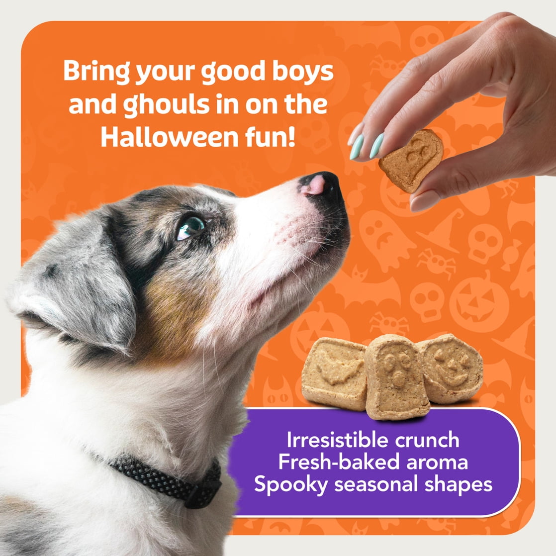 Blue Buffalo Boo Bars Crunchy Halloween Dog Biscuits Pumpkin & Cinnamon Recipe 11-oz Bag