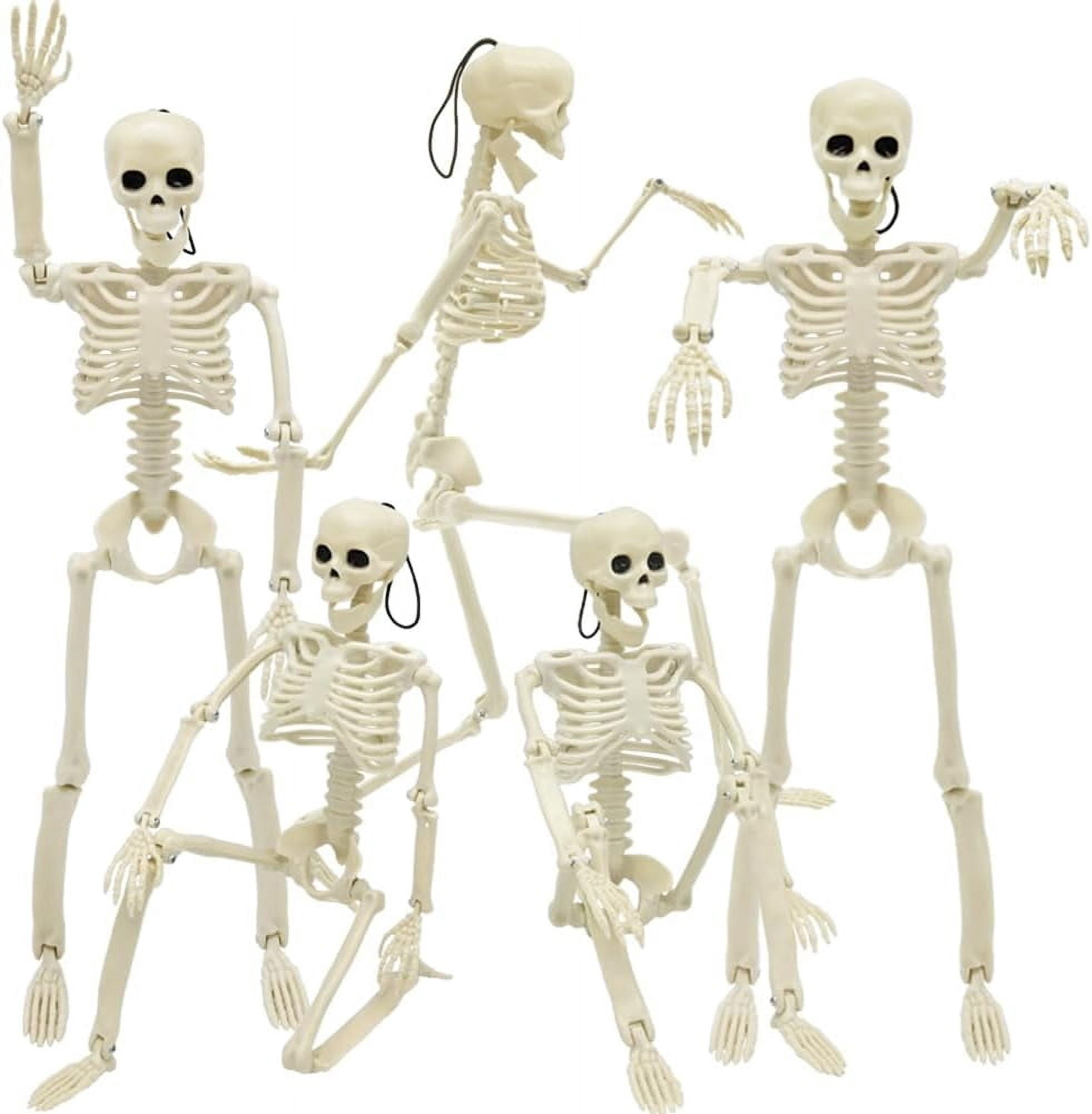 Ayieyill 2pcs Skeleton and Dog Skeleton Halloween Decorations Posable Skeletons Halloween Decorations Indoor Outdoor