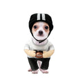 Best Furry Friends Costume for Dogs or Cats, Football Player, Large