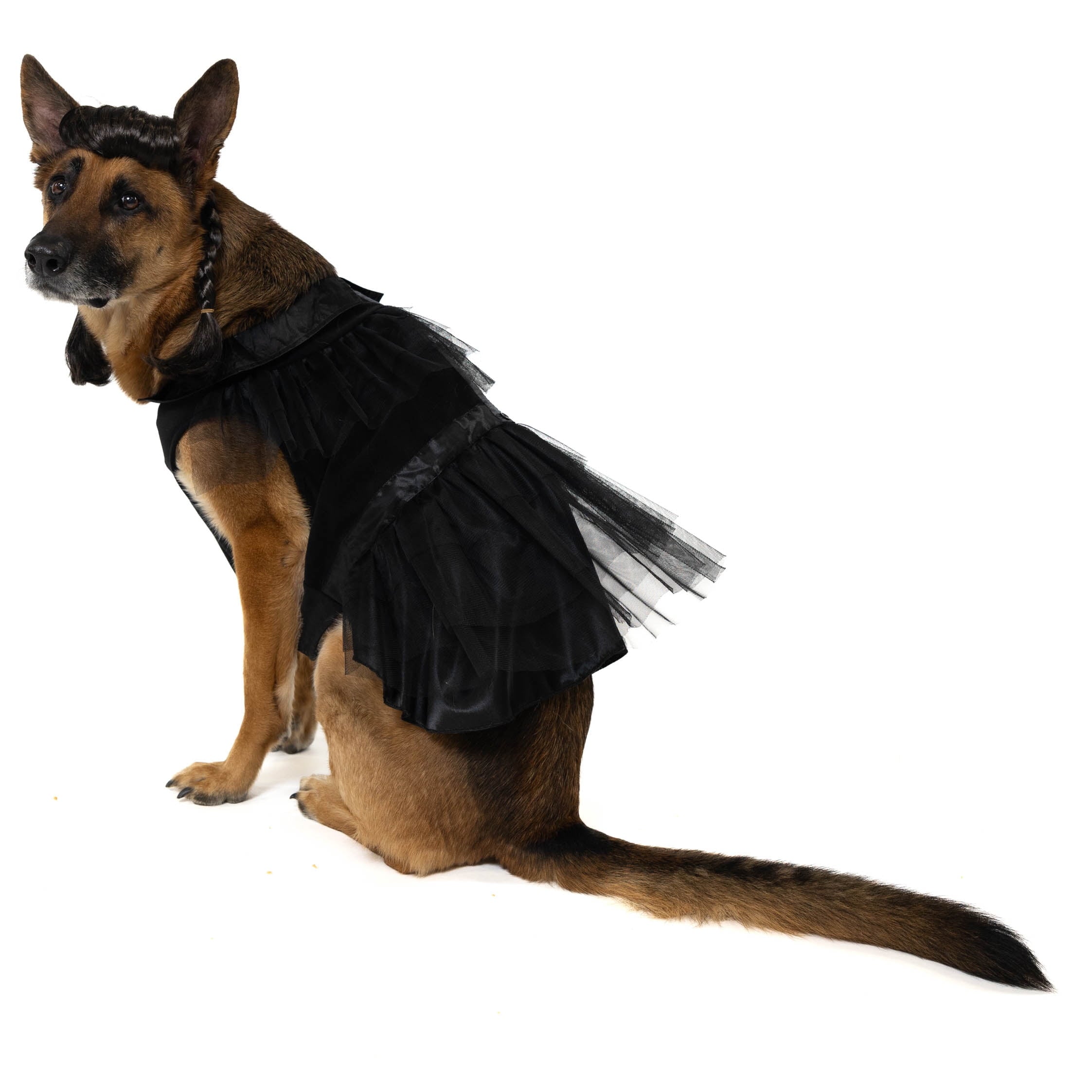 Vibrant Life Halloween Gothic Girl Costume for Dogs, Black, Large