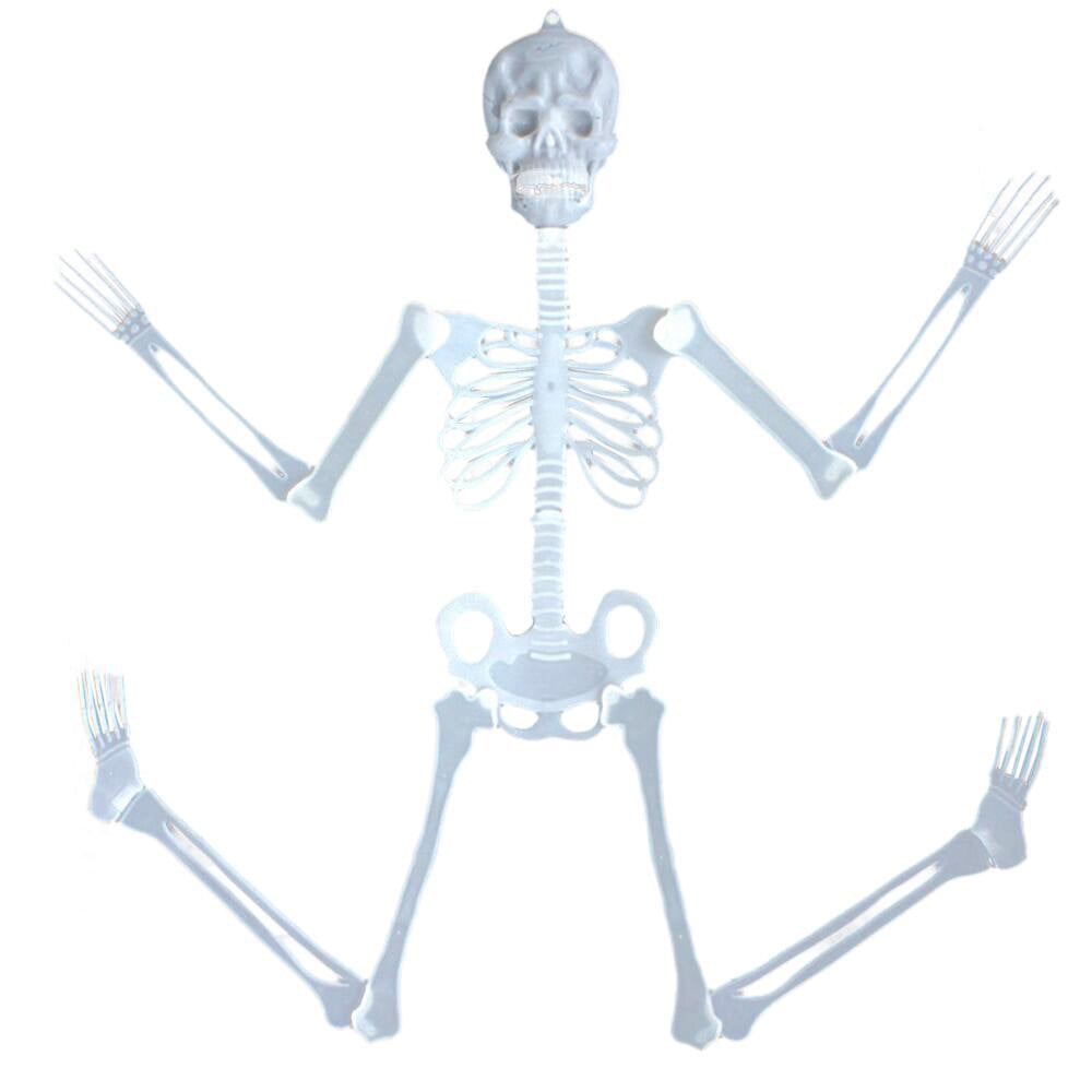 Halloween Skeleton Snake Prop Realistic Scary Serpent Decorative Ornament, Spooky Scene Setup Skeleton Decor Haunted House Party Prop, Home Shop Display Halloween Skeleton Holiday Ornament Gift