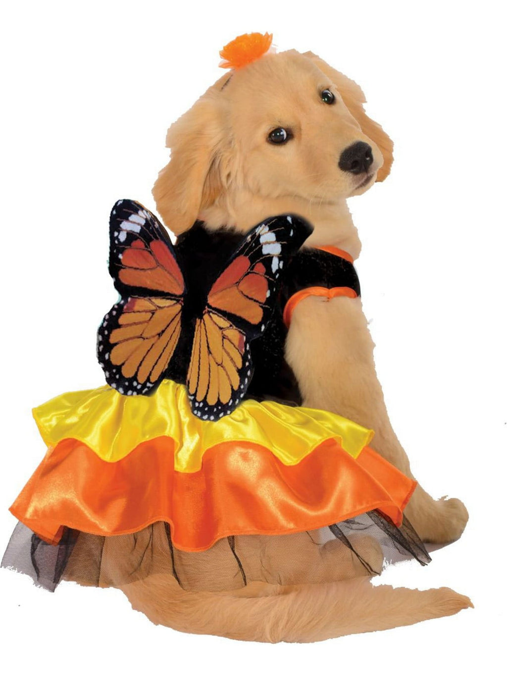 Rubies Monarch Butterfly Pet Costume for Dogs or Cats, Small