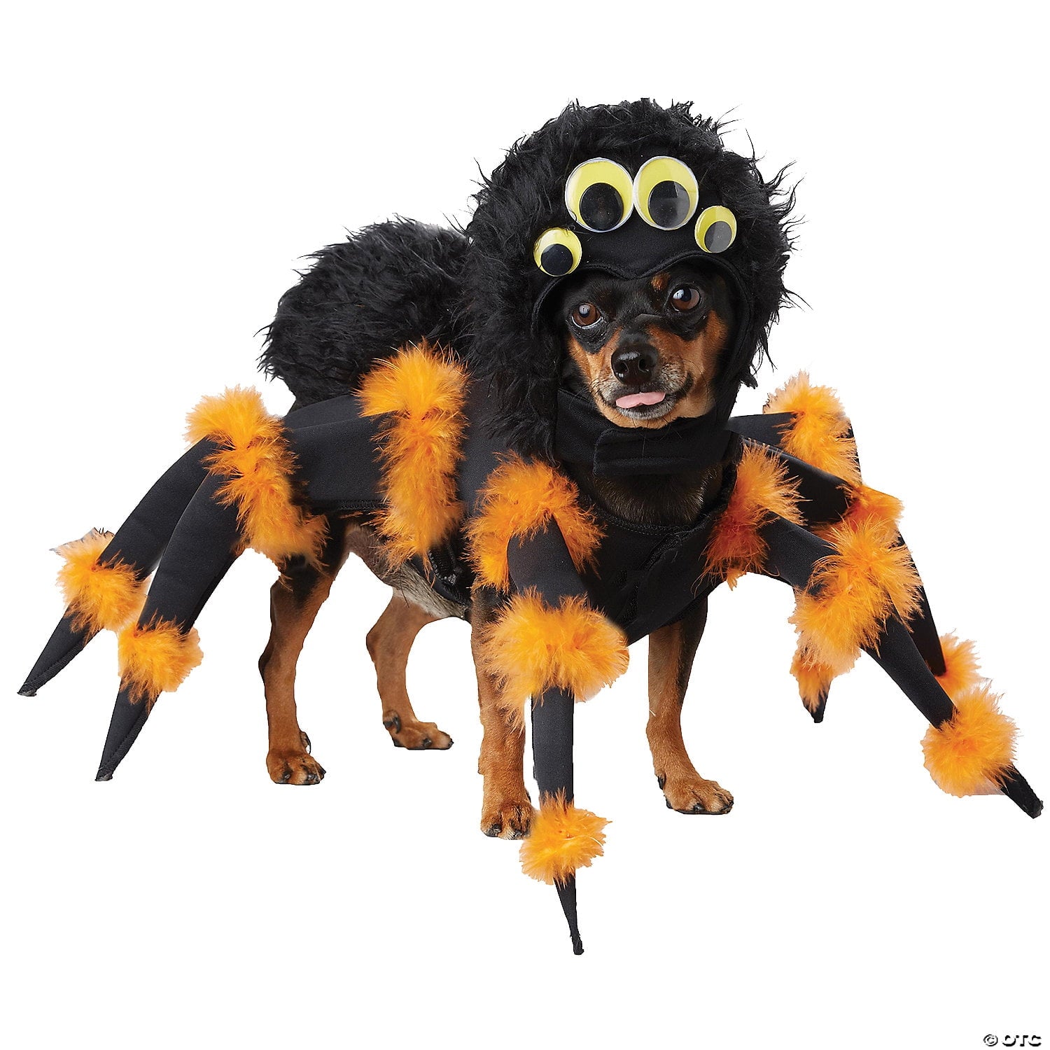 California Costumes Spider Pup Pet Costume Size Medium Unisex