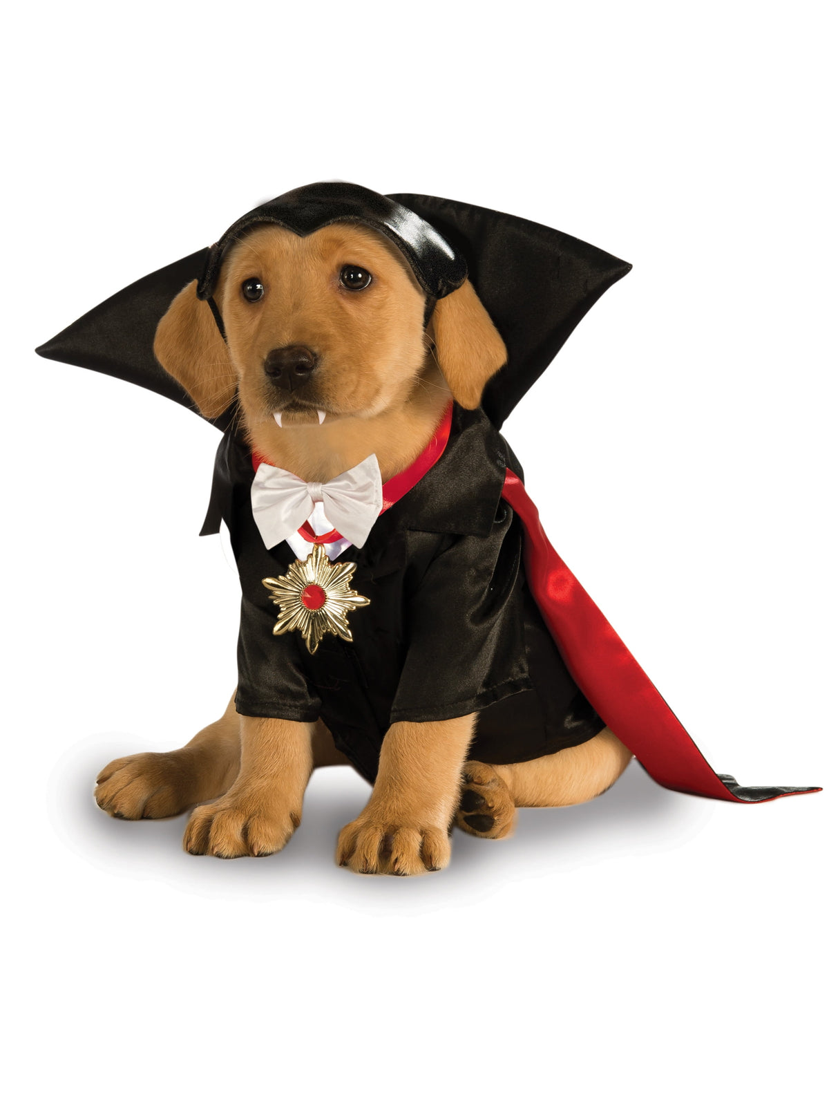 Pet Dracula Costume