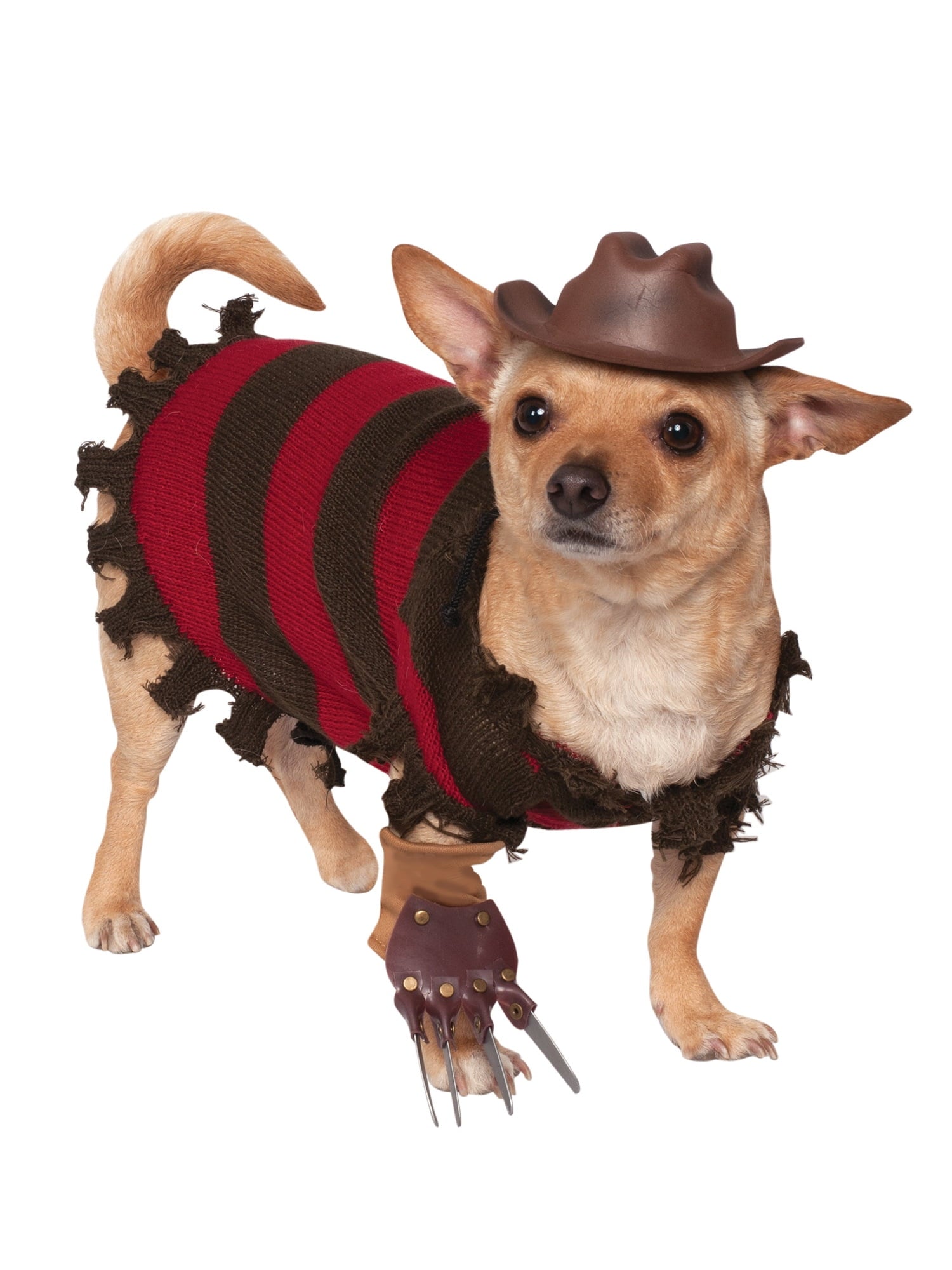A Nightmare on Elm Street Freddy Krueger Pet Costume for Dogs or Cats by Rubies, Large
