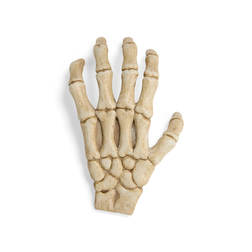 Petco Halloween Skeleton Claw Reptile Habitat Hideaway White Large