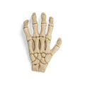 Petco Halloween Skeleton Claw Reptile Habitat Hideaway White Large