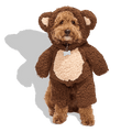 Petco Teddy Bear Illusion Pet Halloween Costume X-Large